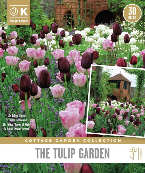 Tulp 'Cottage Garden' 30tk