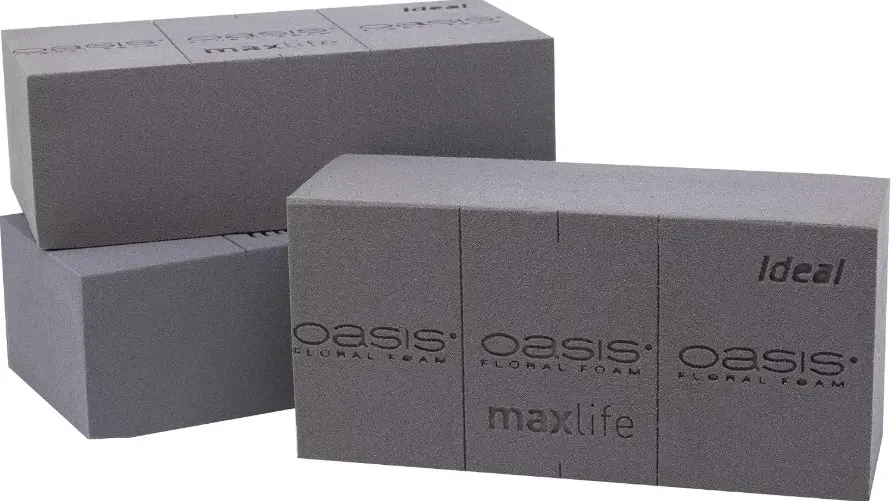 Oasis märg 'Noir' must (1tk)