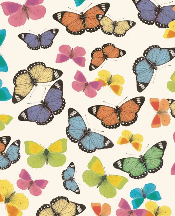 Kinkepaber Carta 'Farfalle colorate' 70x100cm