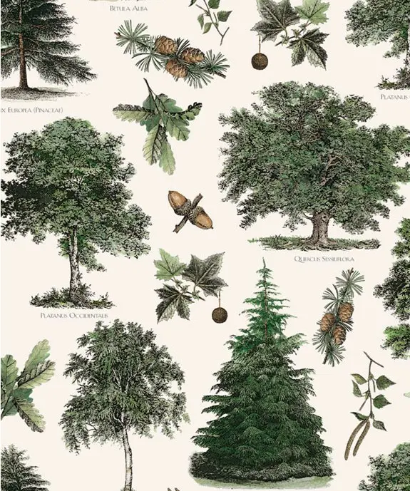 Kinkepaber Carta 'Alberi' 70x100cm