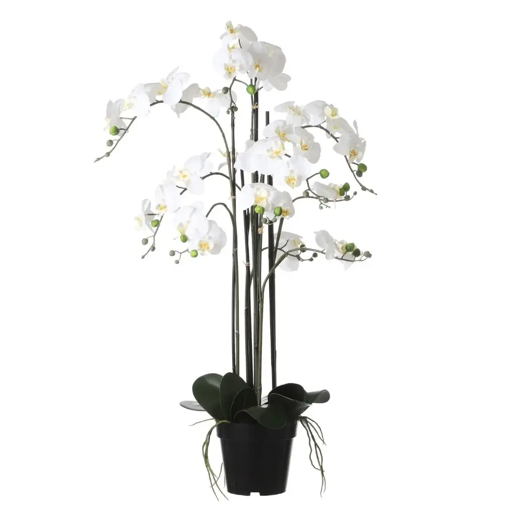 Kunsttaim potis kuuking d19 h97cm kreem