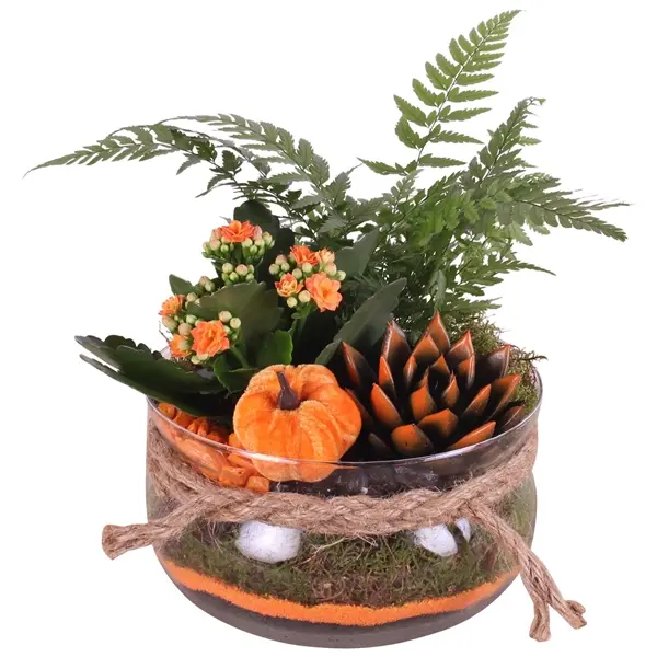 Seade toataimedega Halloween P20/25cm 