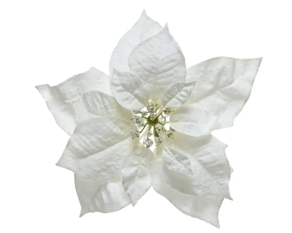Kuuseehe jõulutäht d24cm valge