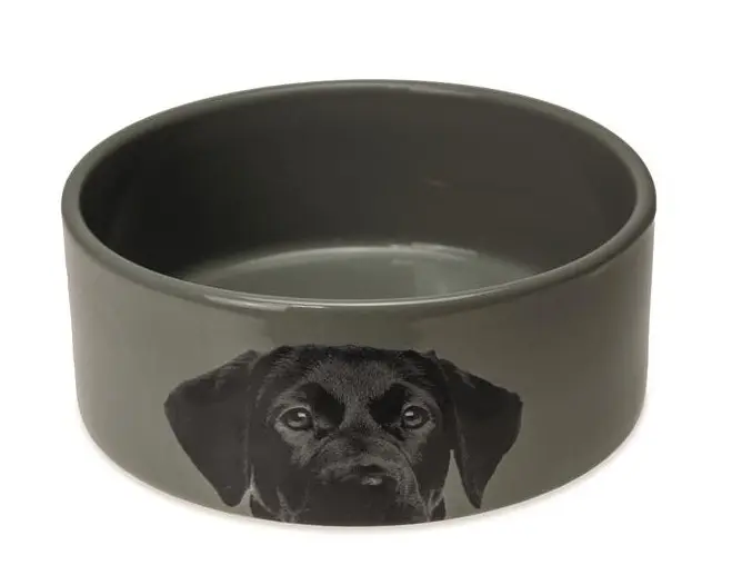 Toidukauss Dog hall d18,5cm 