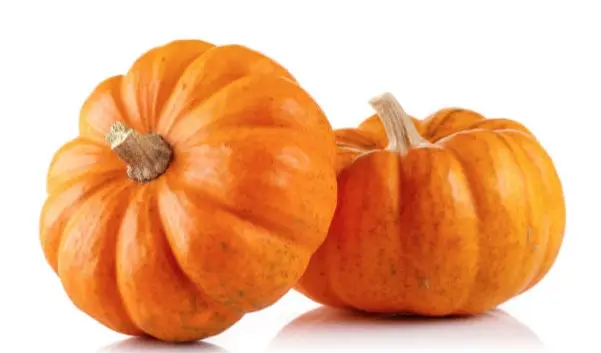 Dekoratiivkõrvits Halloween