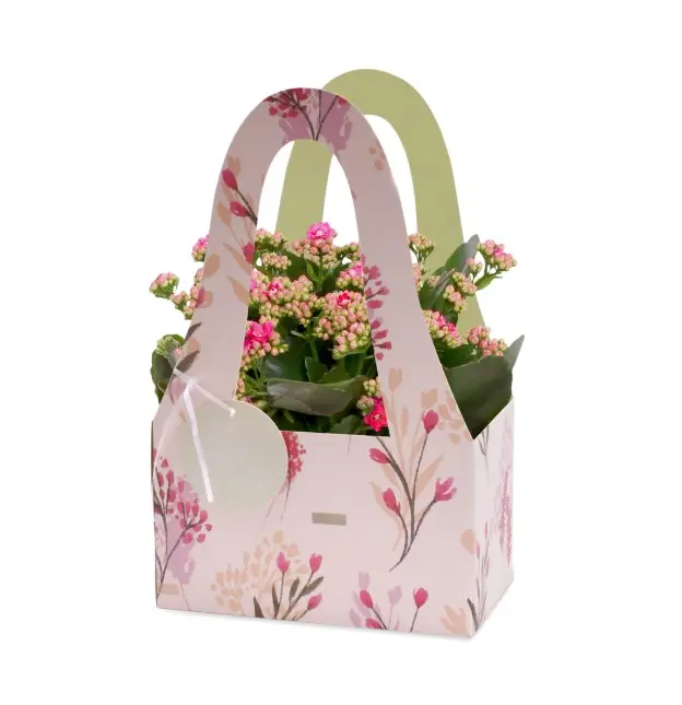Potiümbris 'Nature Romance' Ø20cm 