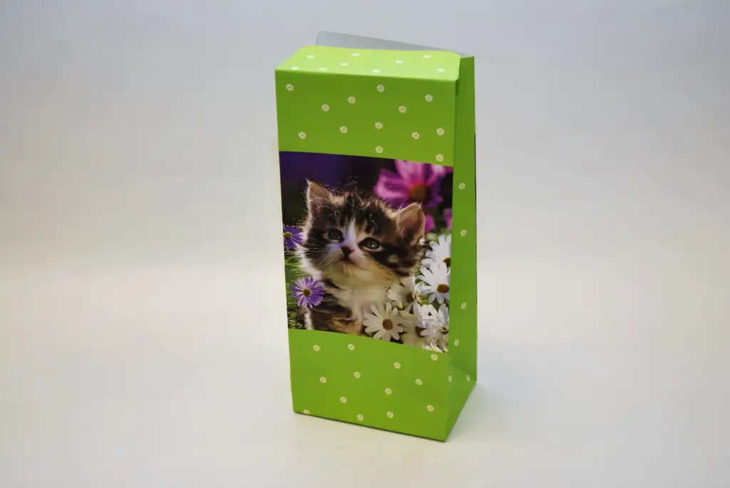 Kinkekott 'Quick Bag kass'