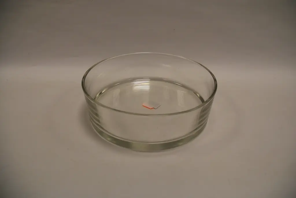Klaasanum 'Lucas' Ø25cm H8cm