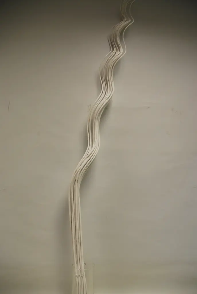 Curly Willow 150cm