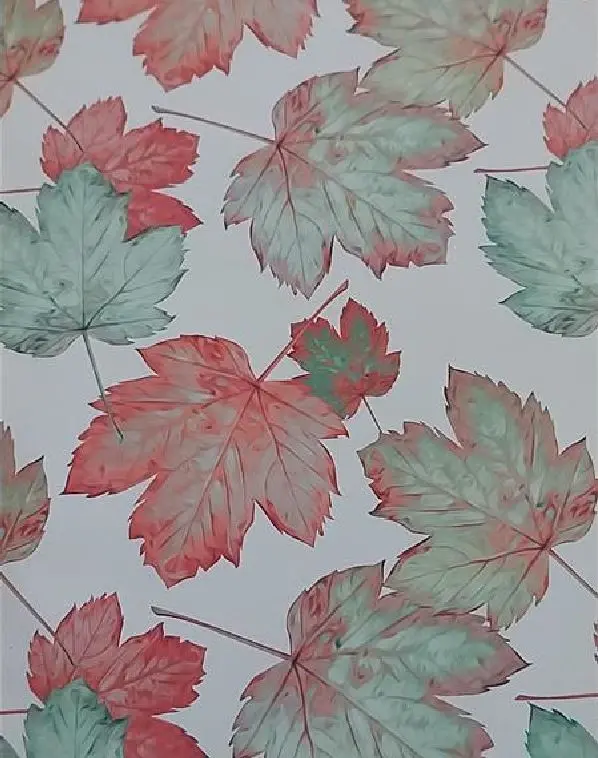 Kinkepaber 'Castan' 80cm*40m