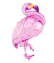 Foolium õhupall 'Flamingo'' 70x95cm