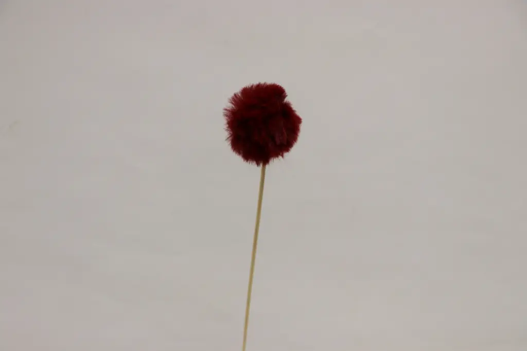Pall 'Fluffy' 