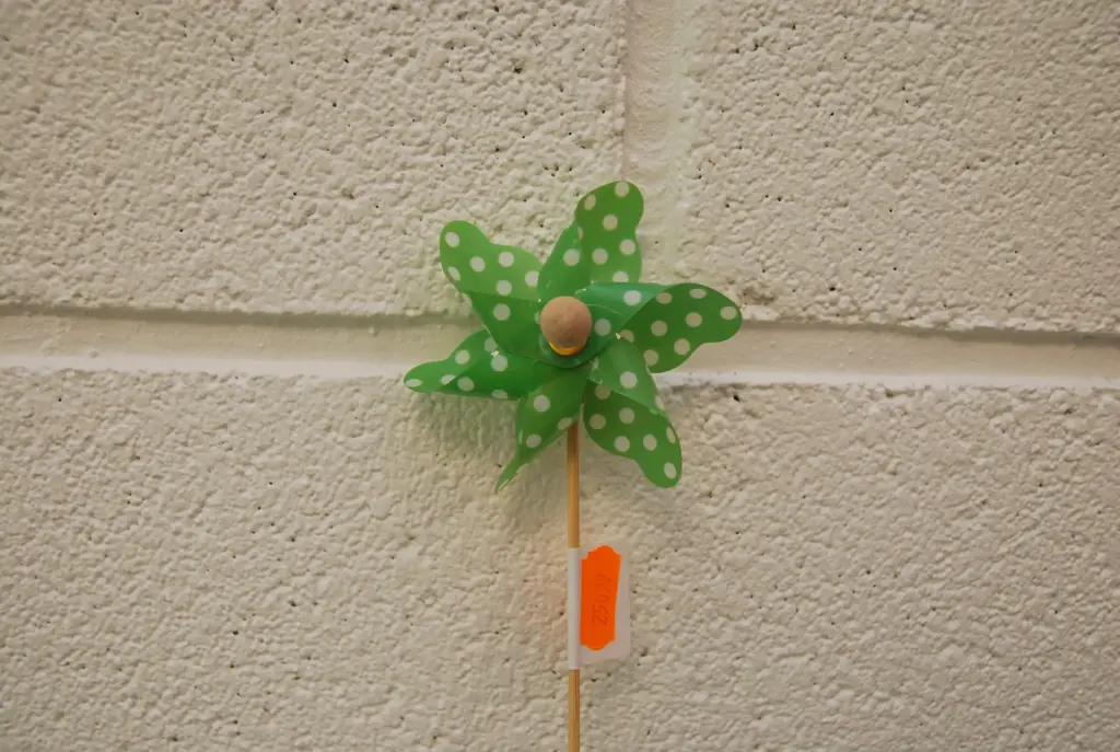 Tuulelipp täpiline 10cm