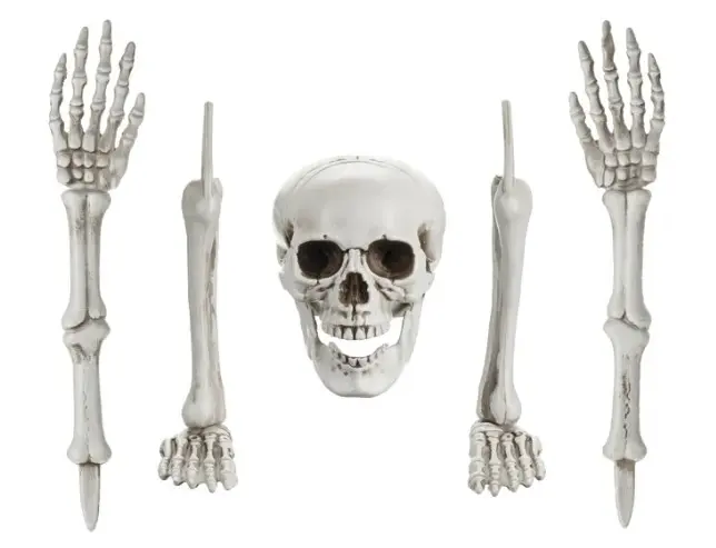 Dekoratsioon Skelett 