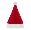 Santa Claus müts