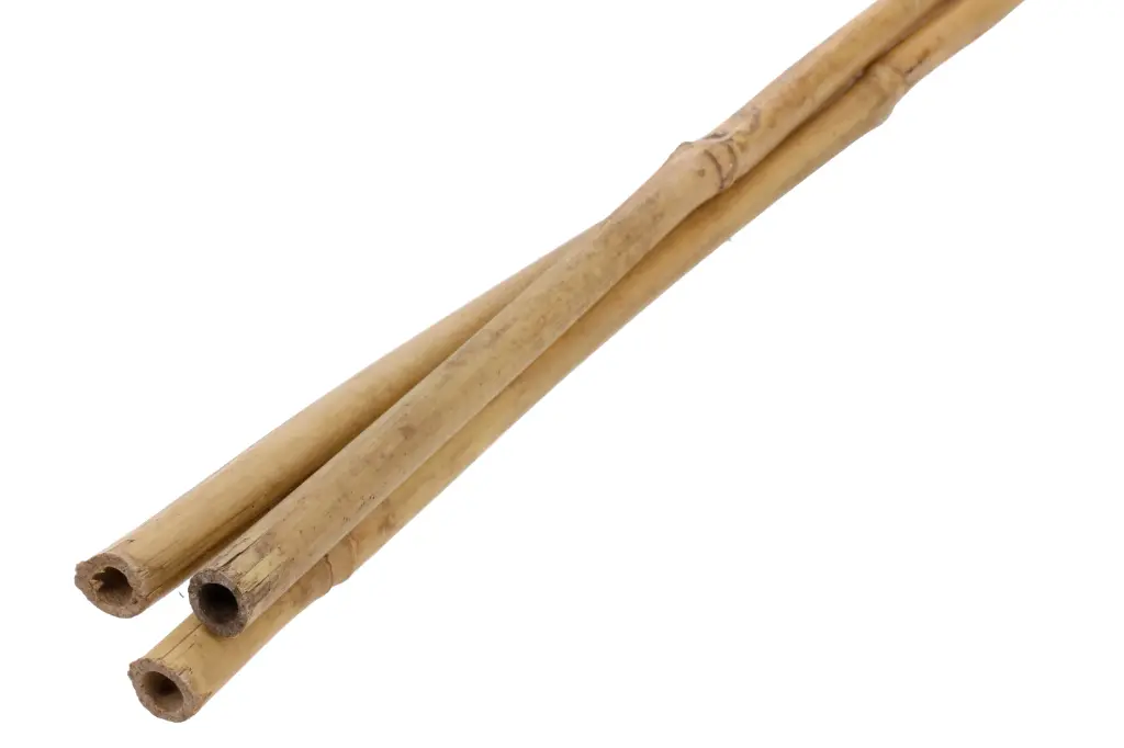 Bambustoed 120cm 3tk