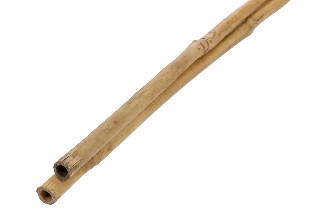 Bambustoed 150cm 2tk