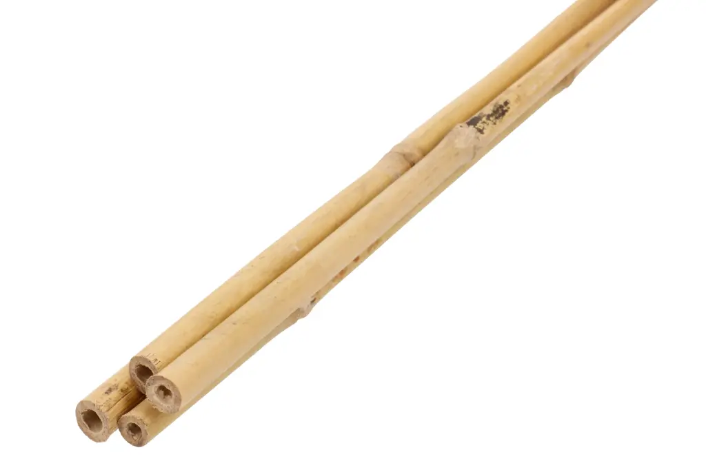 Bambustoed 90cm 4tk