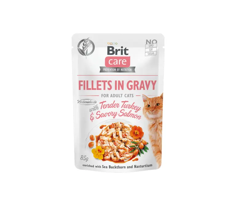 BC Fillets in Gravy Turkey & Salmon 85g