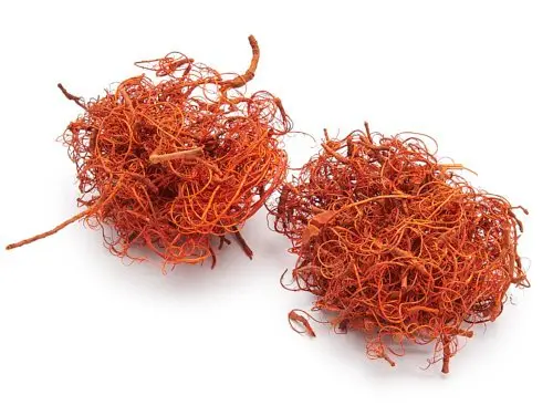Curly Moss 500gr oranž