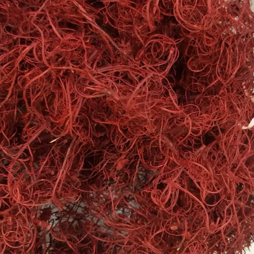 Curly pods 150gr bordoo