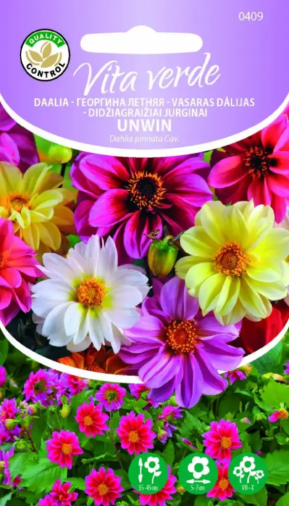 Daalia 'Unwin' 0,3g