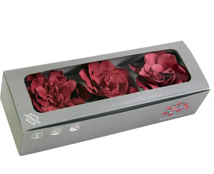 DC Pres.Gardenia Cranberry