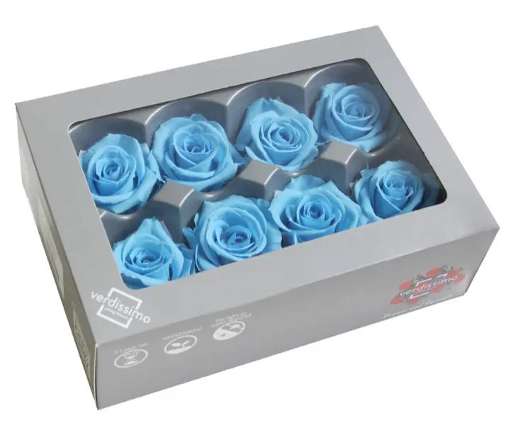 DC Pres.Roses Medium  HELESININE