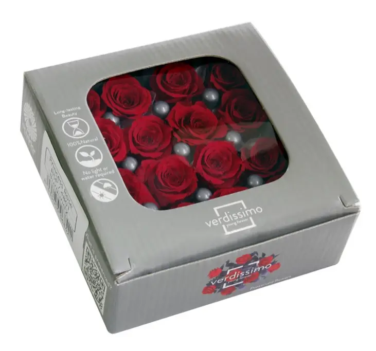 DC Pres.Roses Princessa BORDOO
