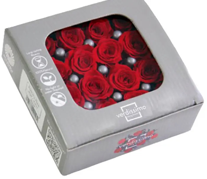 DC Pres.Roses Princessa PUNANE
