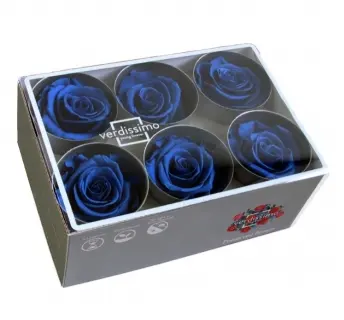 DC Pres.Roses Standard TUMESININE