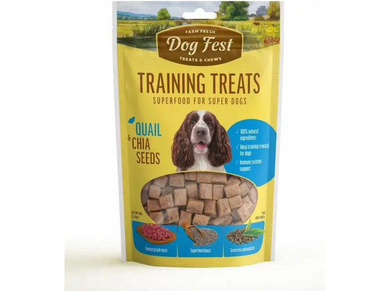 Dog fest treeningmaius vutilihast