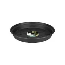 Istutuspoti alus Green Basics d10cm hall