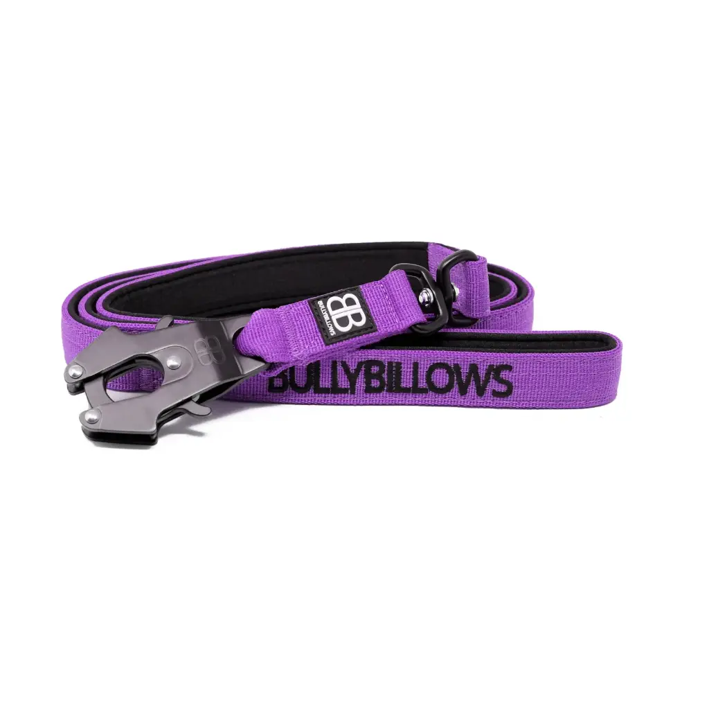 Jalutusrihm Com.Swiv.Bullybillows lilla