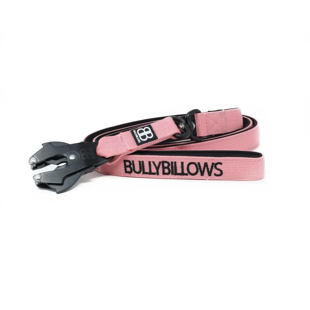 Jalutusrihm Com.Swiv.Bullybillows roosa