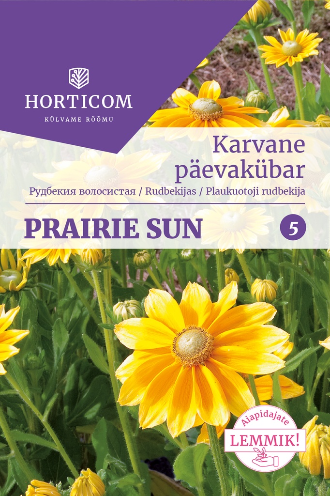 Karvane päevakübar 'Prairie Sun' 5s