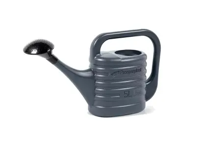 Kastekann Zebra 5L antratsiit