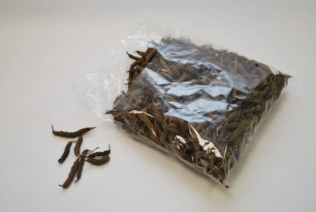 Keerdus kaunad pruun 500gr