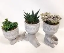 Roheliste toataimede mix Ø12cm 