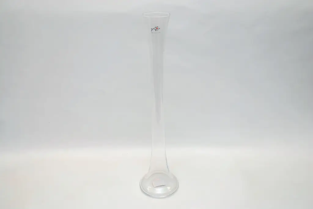 Klaasvaas SOLIFLEUR 50*12 cm