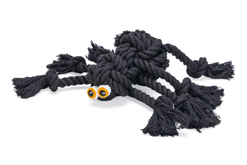 Koeralelu halloweeni ämblik