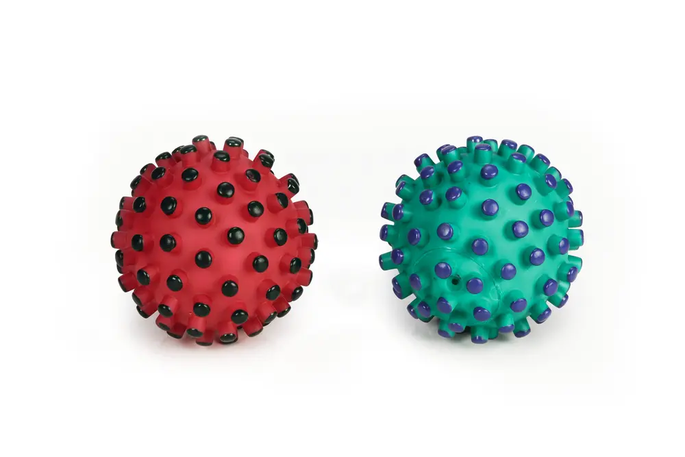 Koeralelu Spike pall 13cm