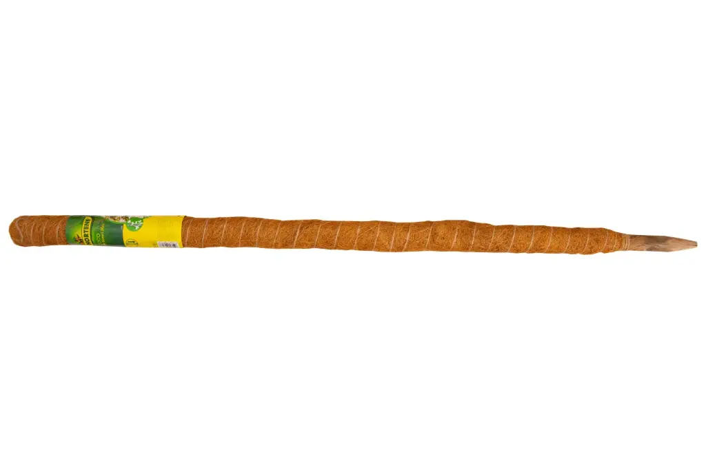 Kookostugi 6Ø 120cm