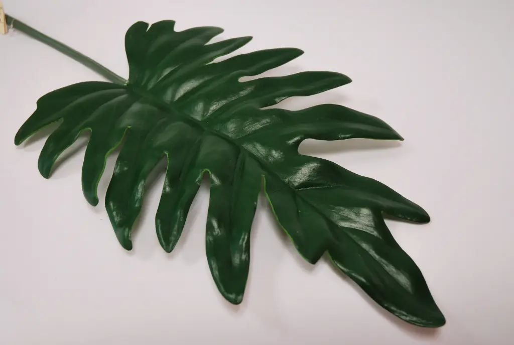 Kunstlill philodendroni leht 75cm roheline