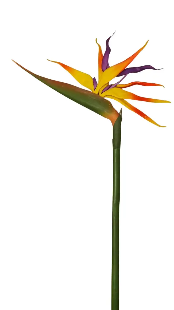 Kunstlill Strelitzia 96cm