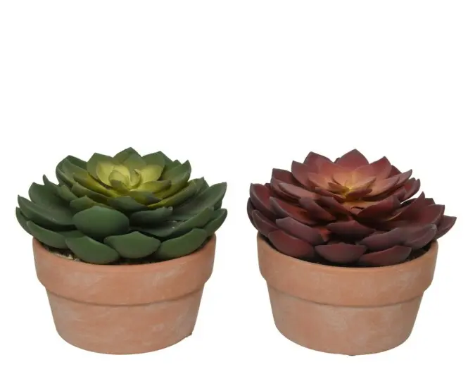 Kunstlill sukulent potis h15cm erinevad