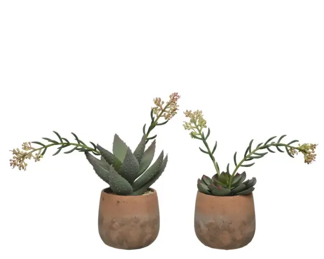 Kunstlill sukulent potis h28cm erinevad