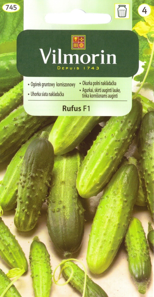 Kurk 'Rufus'