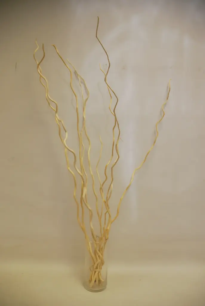Kuwa 100cm kollane