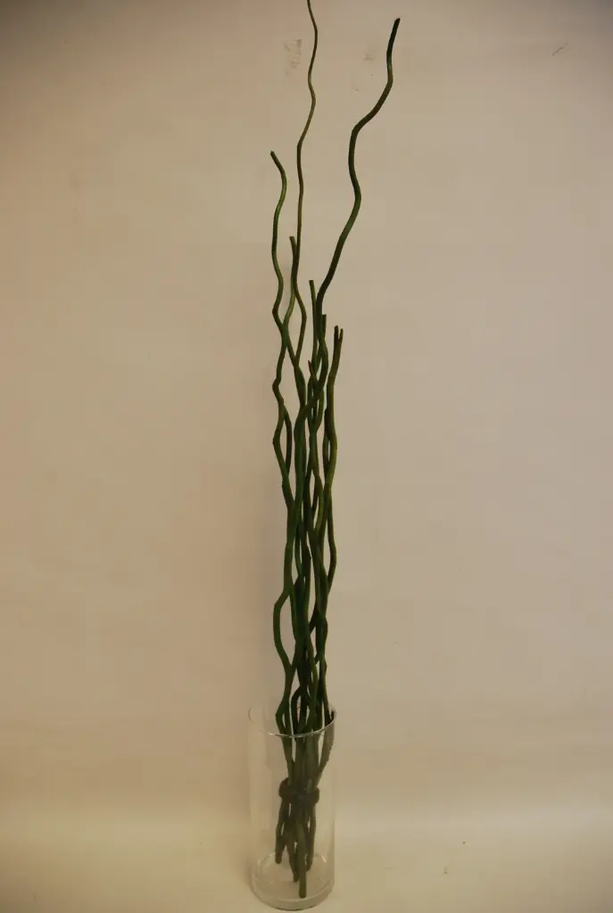 Kuwa 100cm tumeroheline